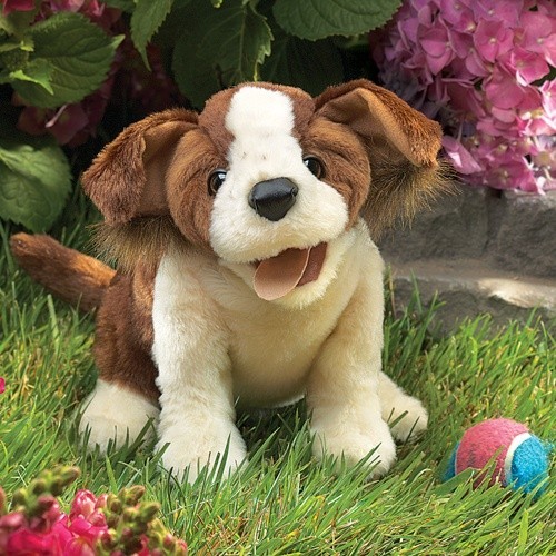Frecher Hundemischling