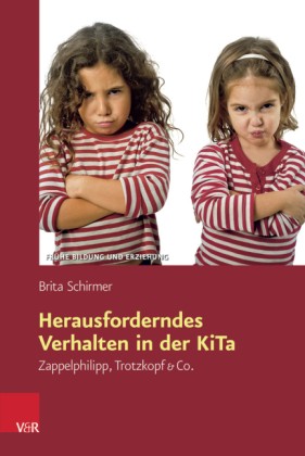 Schirmer: Herausforderndes Verhalten in der KiTa