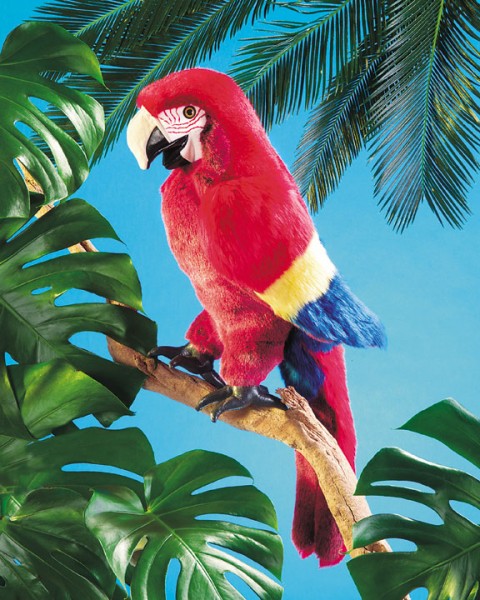 Ara – Der Papagei