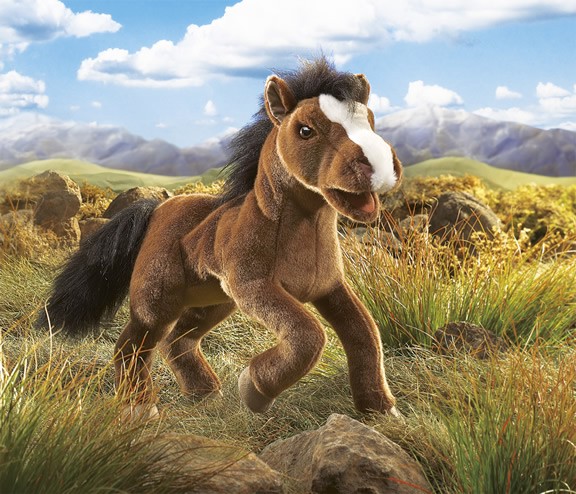 Pferd Fury