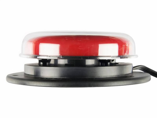 Jelly Bean Taster bei ARIADNE