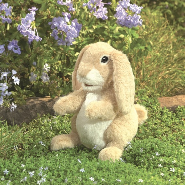 Der Schnüffel-Hase