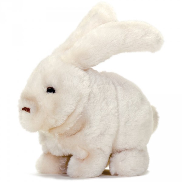 Hase Murbs