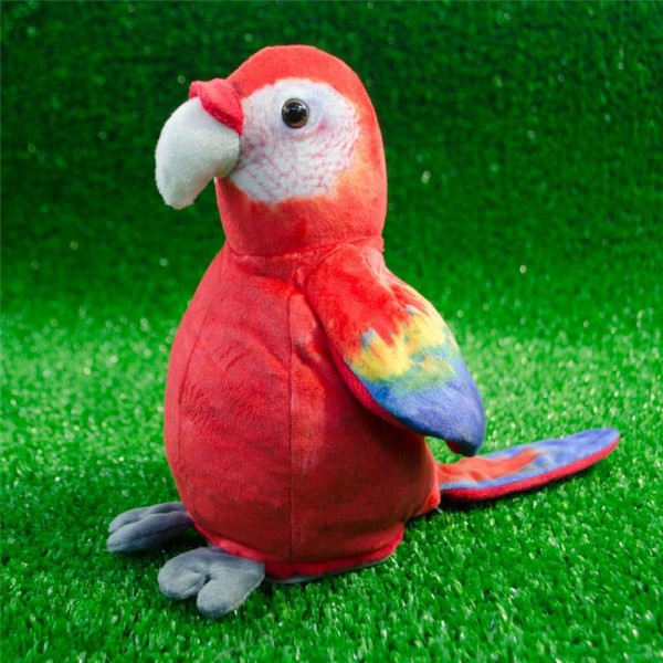 Kora - Nachsprech-Papagei