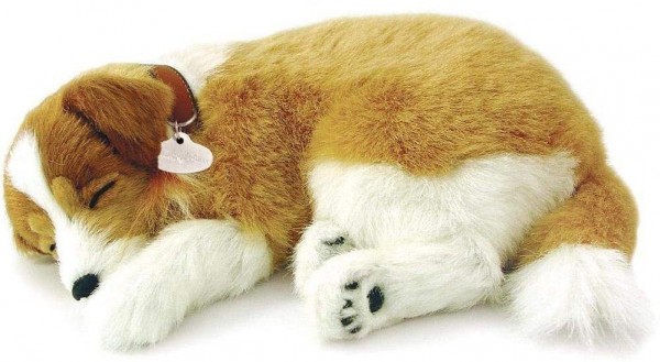 Atimals Hund
