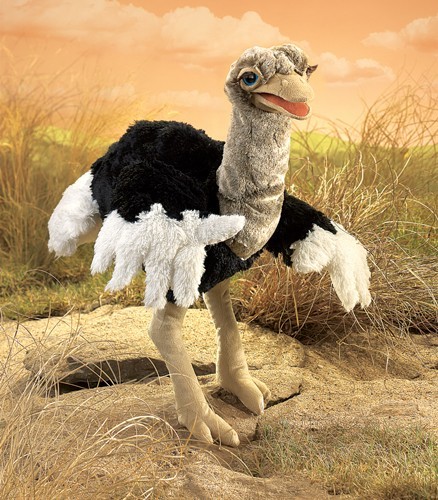 Vogel Strauß