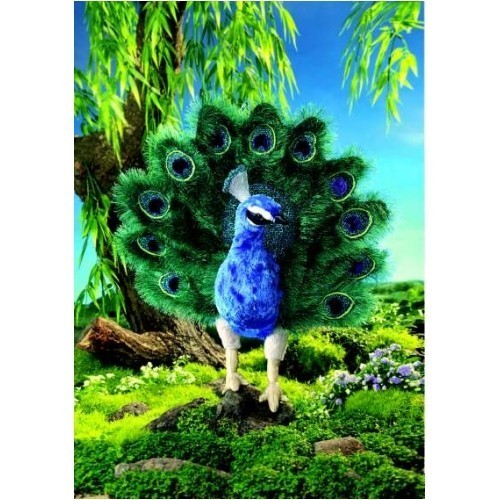 Pfau