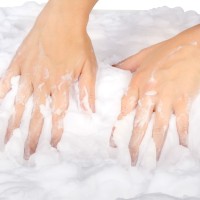 Schaumi bei ARIADNE Schaumi bei ARIADNE