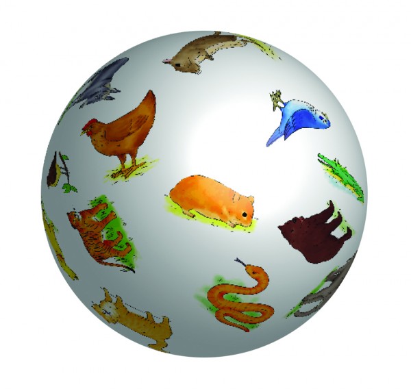 Wörterball Tiere
