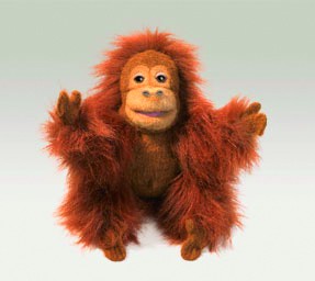 Baby-Orang Utan